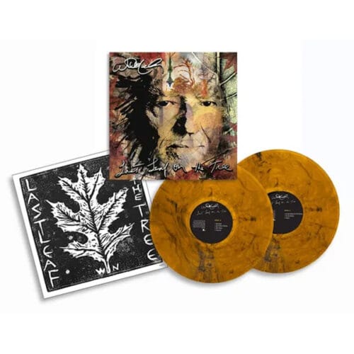 Willie Nelson Last Leaf On the Tree