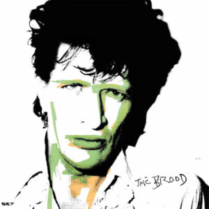 Herman Brood The Brood LP