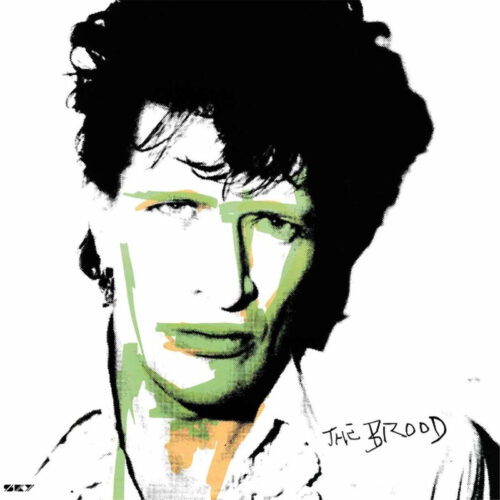 Herman Brood The Brood LP