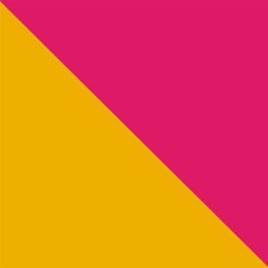 James Taylor Flag
