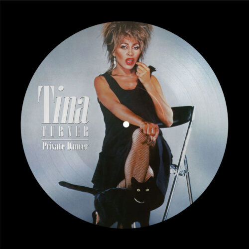 Tina Turner Private Dancer Picture Disc