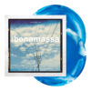 Joe Bonamassa – A New Day Now op blue & white swirl vinyl (2LP)