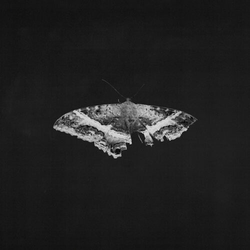 Kendrick Lamar - To Pimp a Butterfly - Metallic Blends Vinyl - 2LP