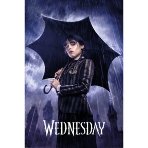Wednesday Downpour poster – officiële maxi poster 61x91,5 cm