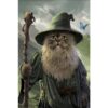 Catdalf maxi poster 61x91,5 cm – grappige kattenposter