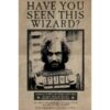 Harry Potter Wanted Sirius Black maxi poster 61x91,5 cm – officiële Wizarding World poster