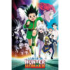 Hunter x Hunter maxi poster 61x91,5 cm – officiële anime poster