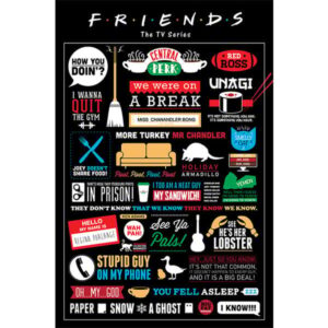 Friends Infographic maxi poster 61x91,5 cm – Friends tv serie infographic poster