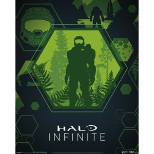 Halo Infinite Master Chief Hex mini poster 40x50 cm – Master Chief Halo poster