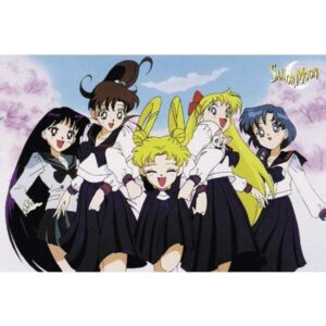 Sailor Moon Group giant poster 70x102 cm – anime poster met Sailor Moon personages