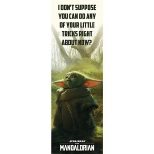 Star Wars The Mandalorian Special Tricks door poster 53x158 cm – Mandalorian deurposter