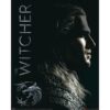 The Witcher Shadows Embrace mini poster 40x50 cm – Witcher fantasy poster
