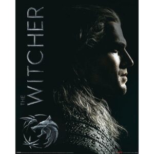 The Witcher Shadows Embrace mini poster 40x50 cm – Witcher fantasy poster